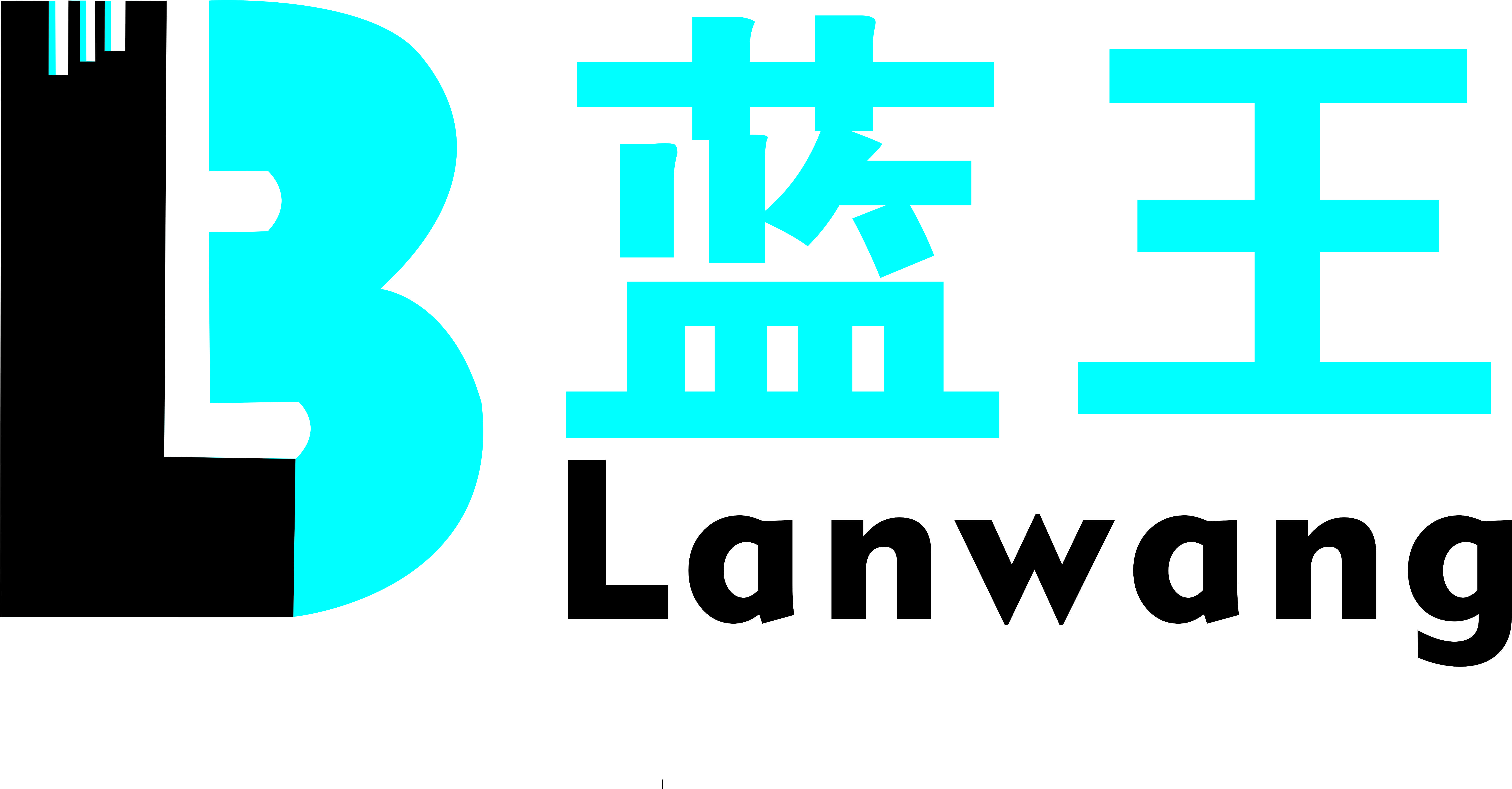 东莞市蓝王科技有限公司