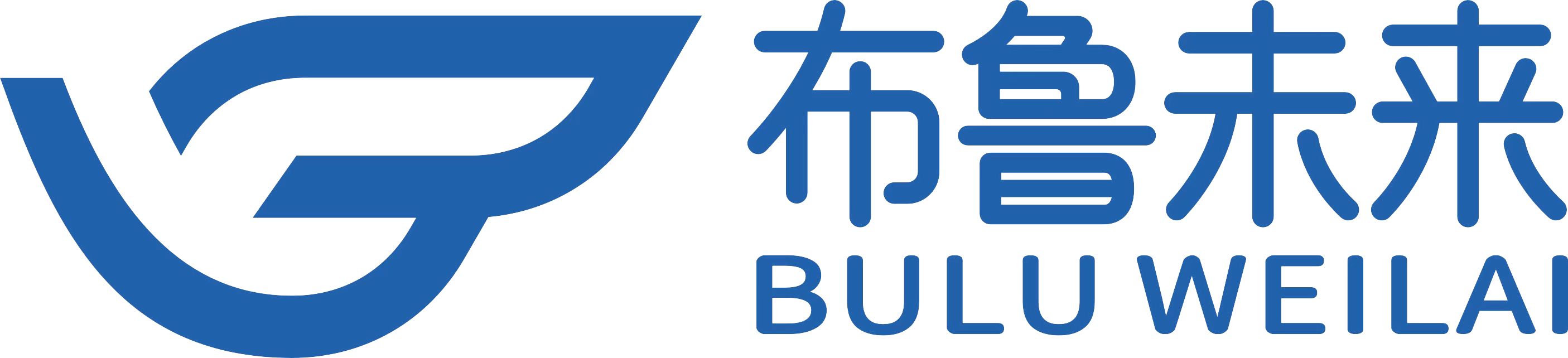 四川布鲁未来教育管理股份有限公司