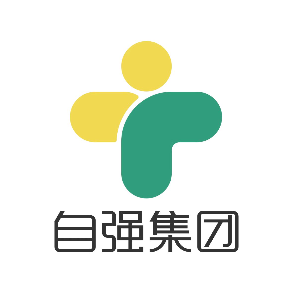 自强科技集团有限公司
