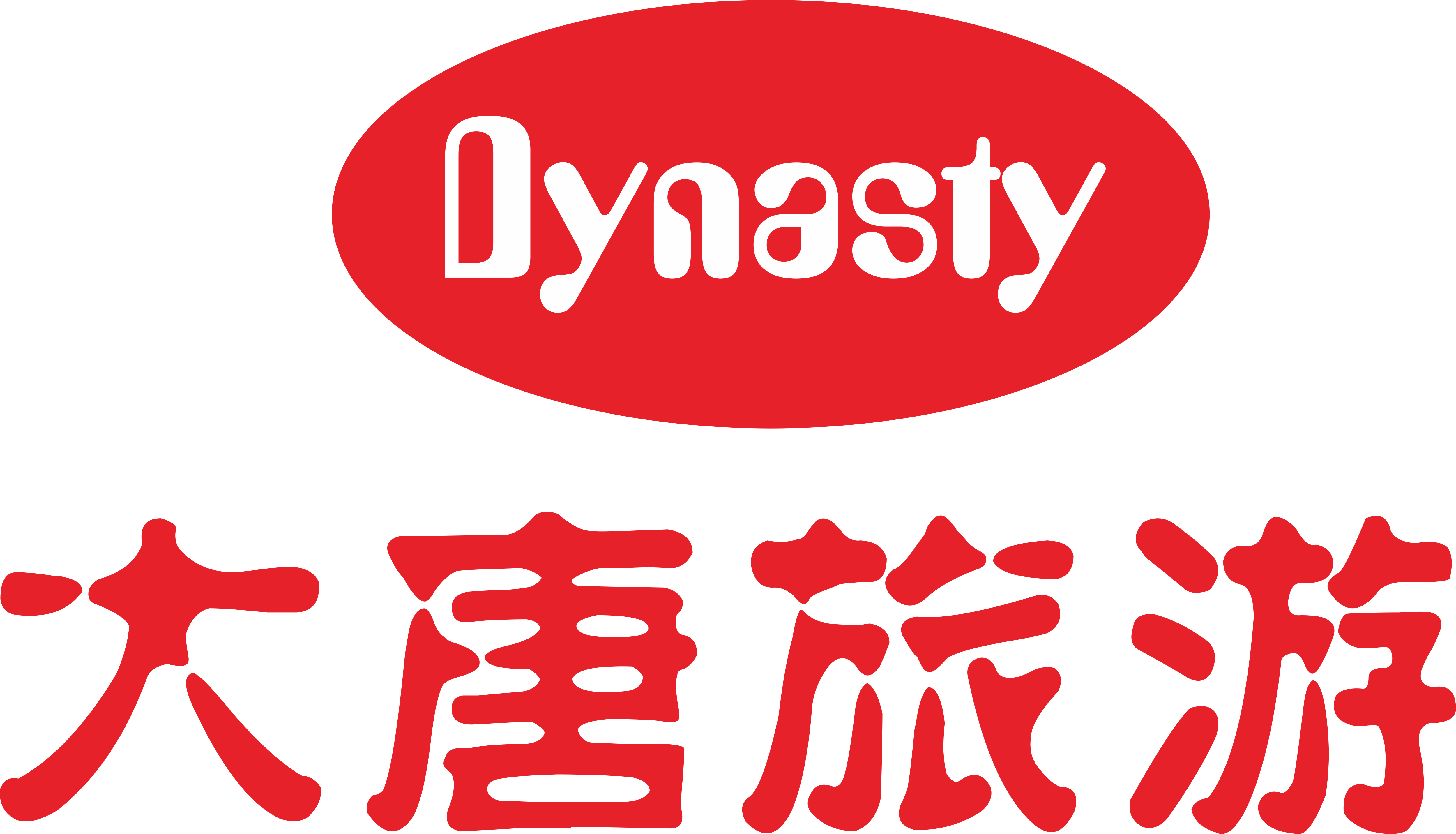 武汉大唐国际旅行社有限责任公司