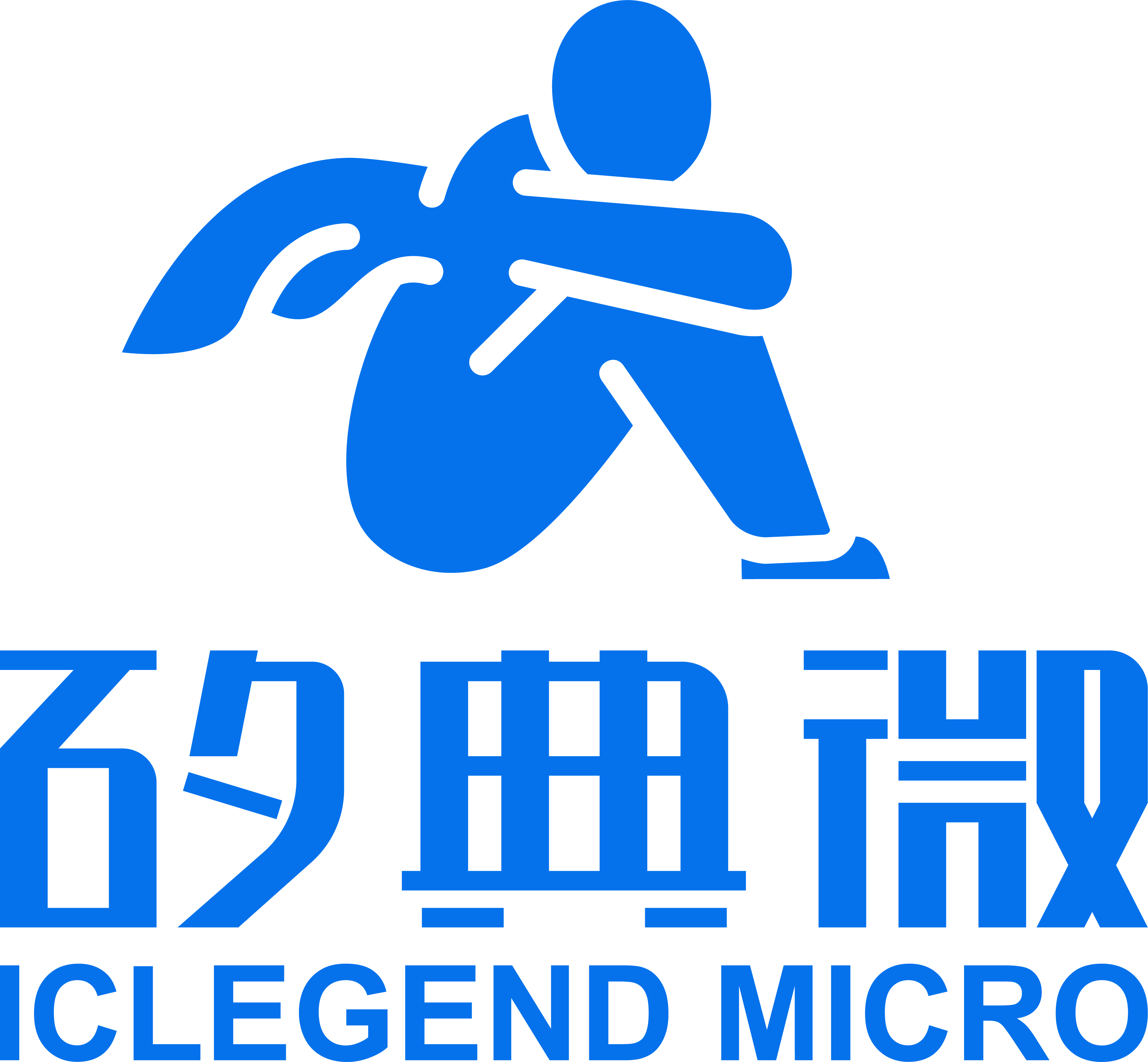 矽典微电子(上海)有限公司