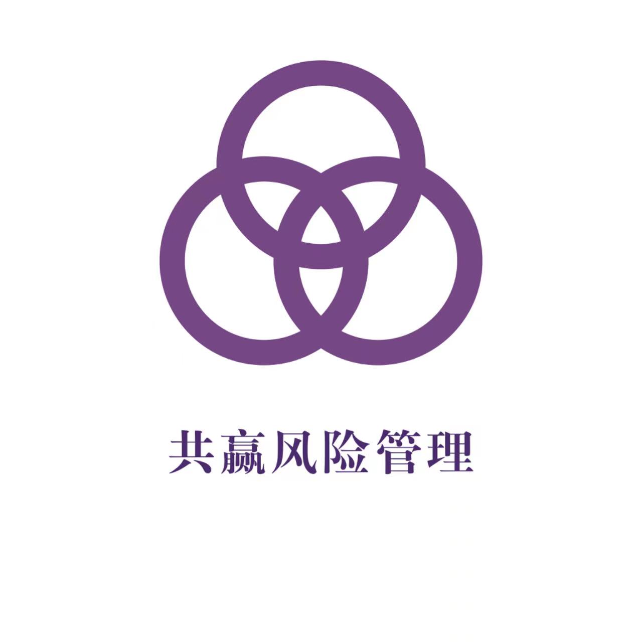 深圳市共赢风险管理有限责任公司