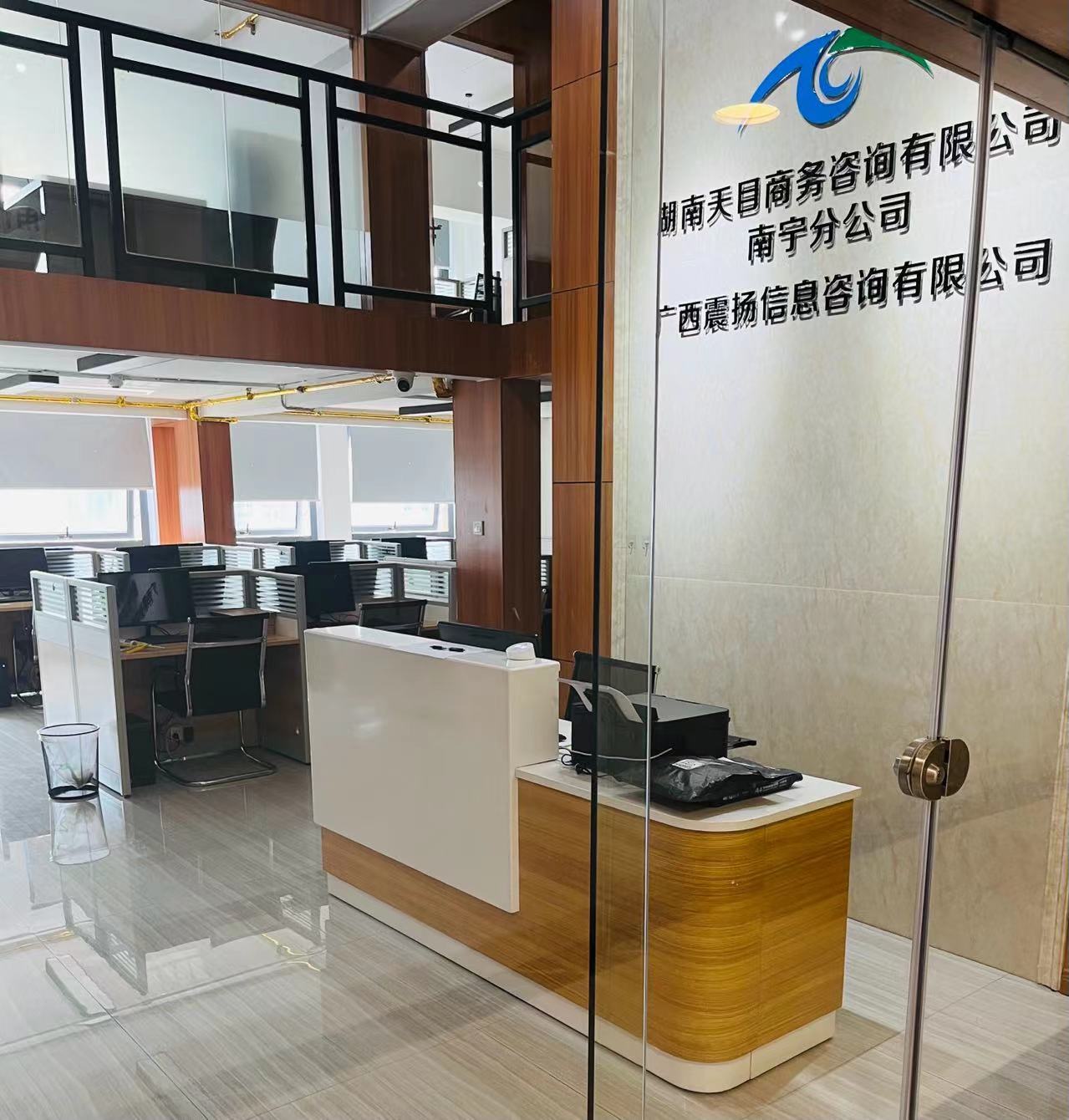 广西震扬信息咨询有限公司