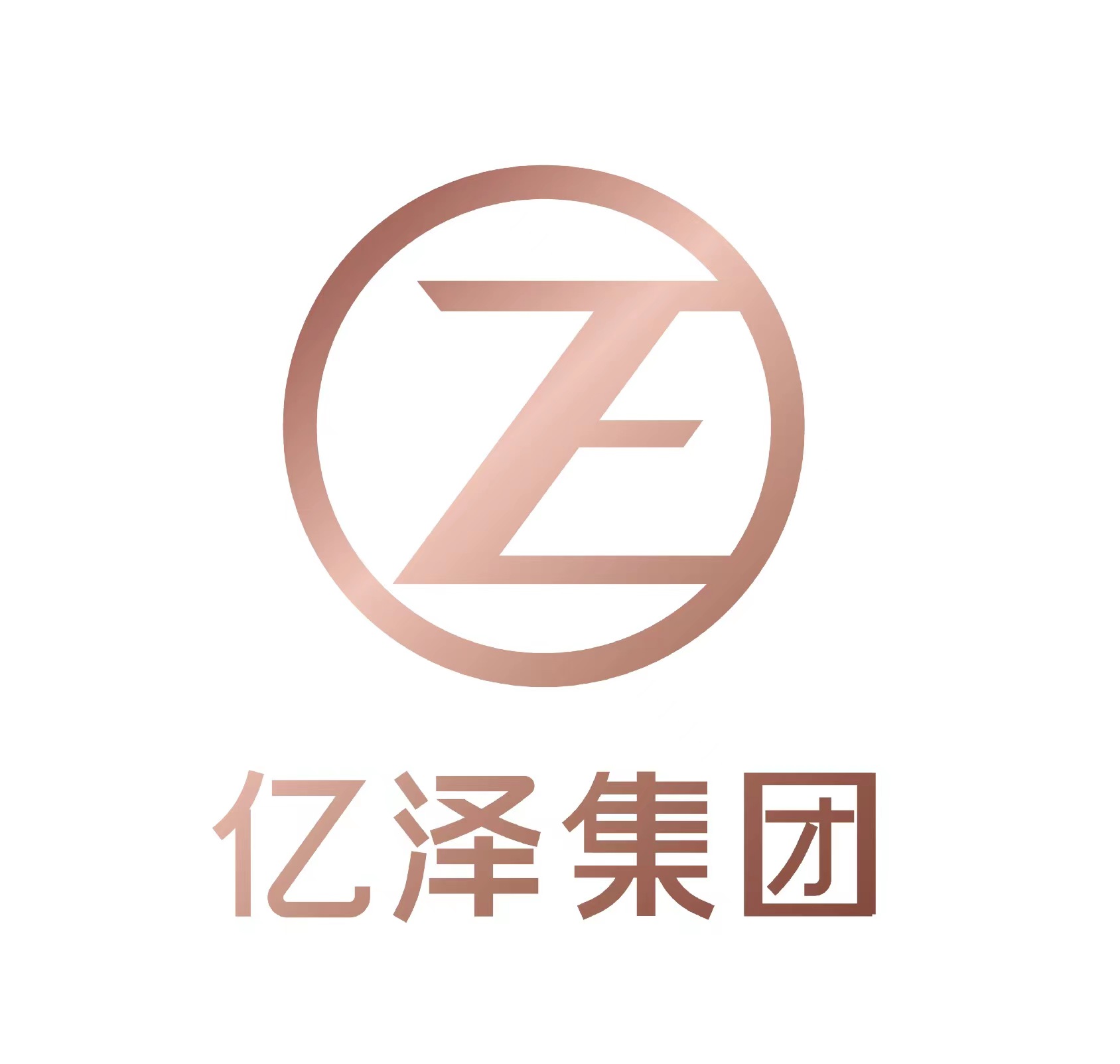 安徽亿泽控股集团有限公司