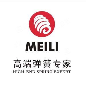 浙江美力科技股份有限公司