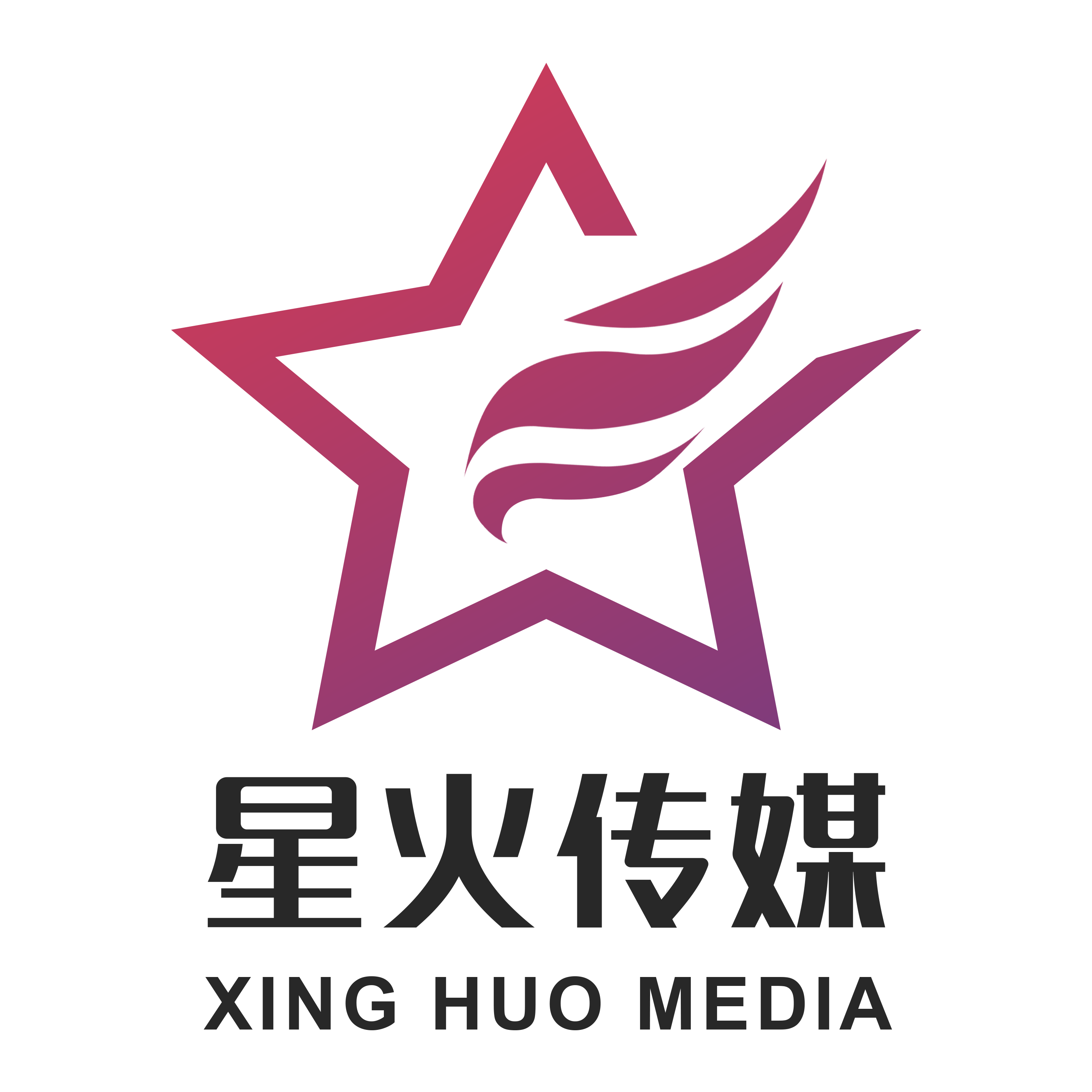 临沂星火时代传媒有限公司