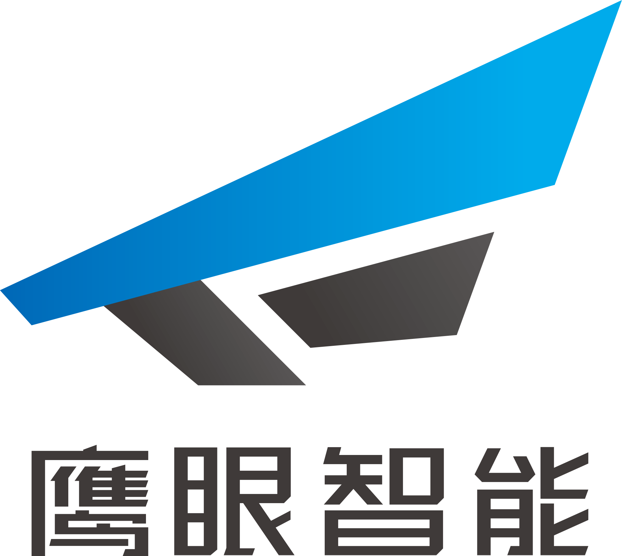河北鹰眼智能科技集团有限公司