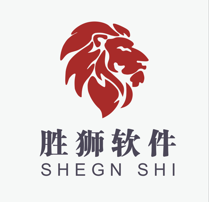 上海胜狮软件科技有限公司