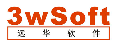 远华软件