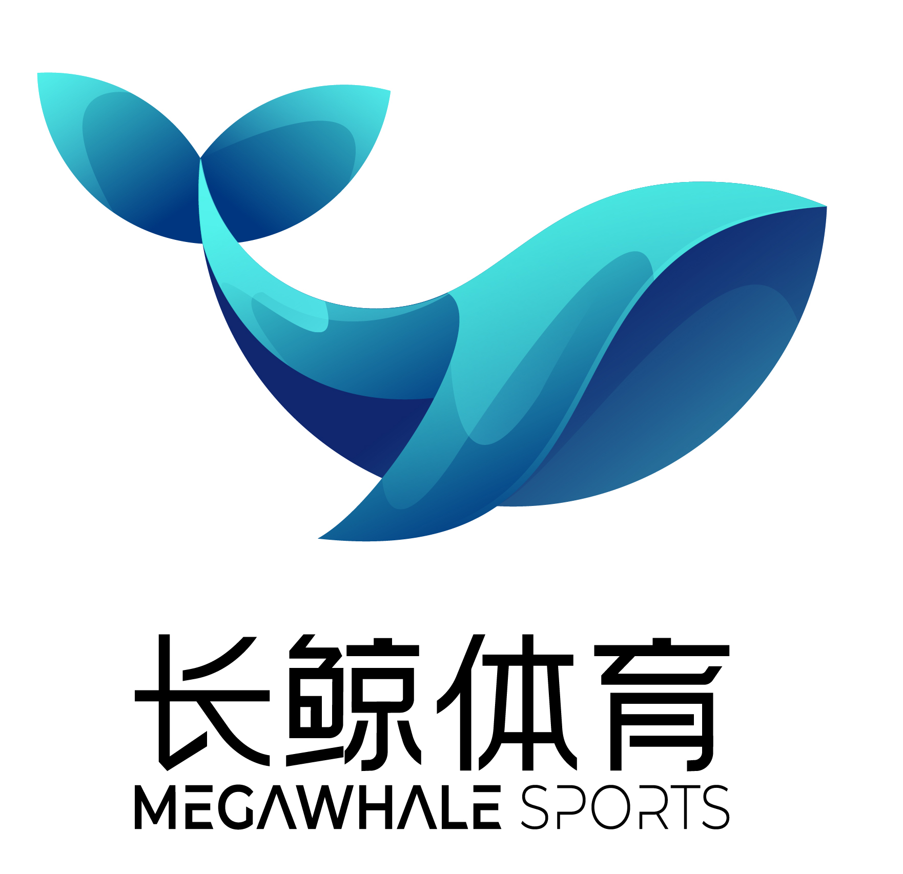 成都长鲸体育发展有限公司