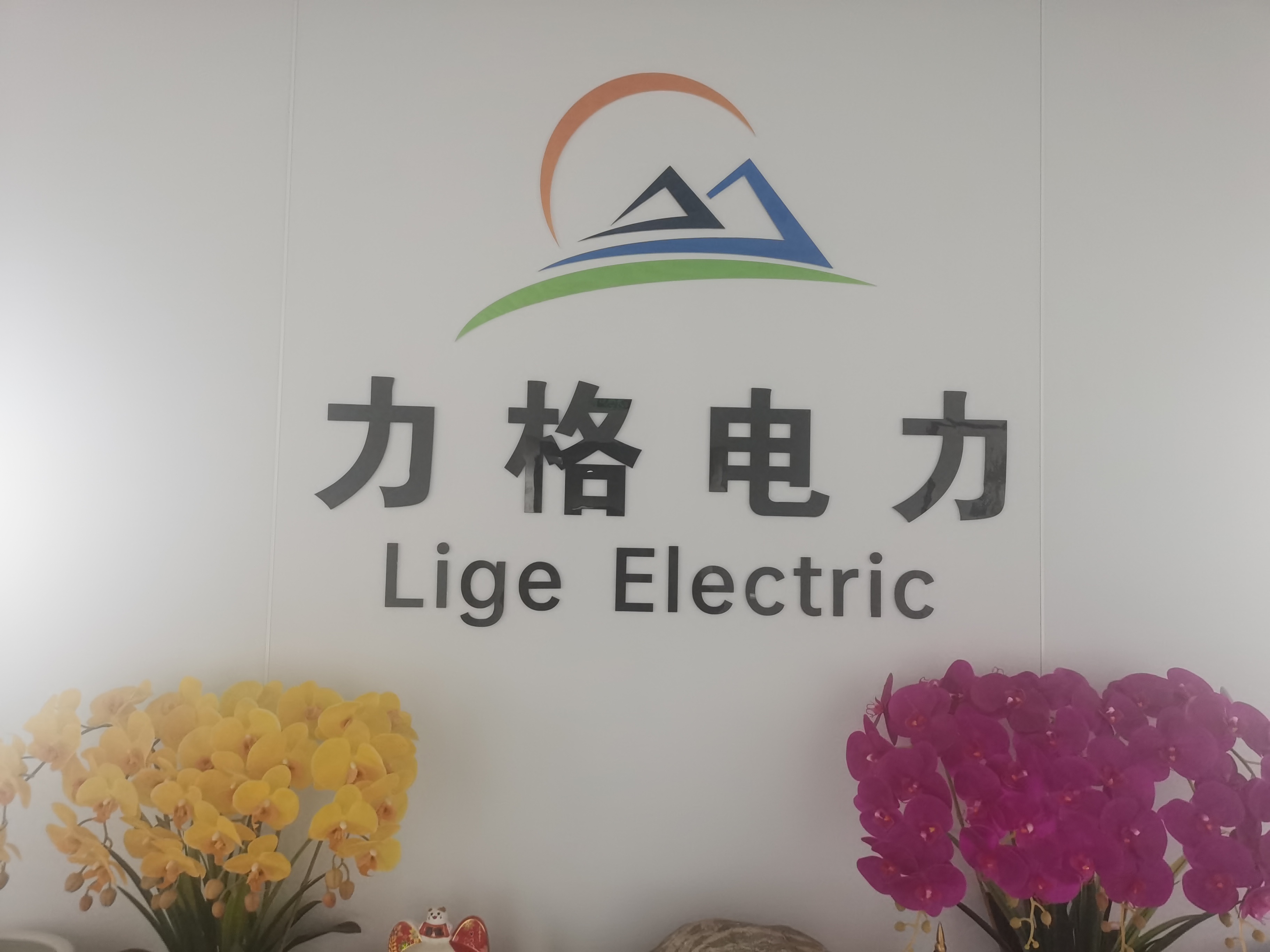山东力格电力设计有限公司