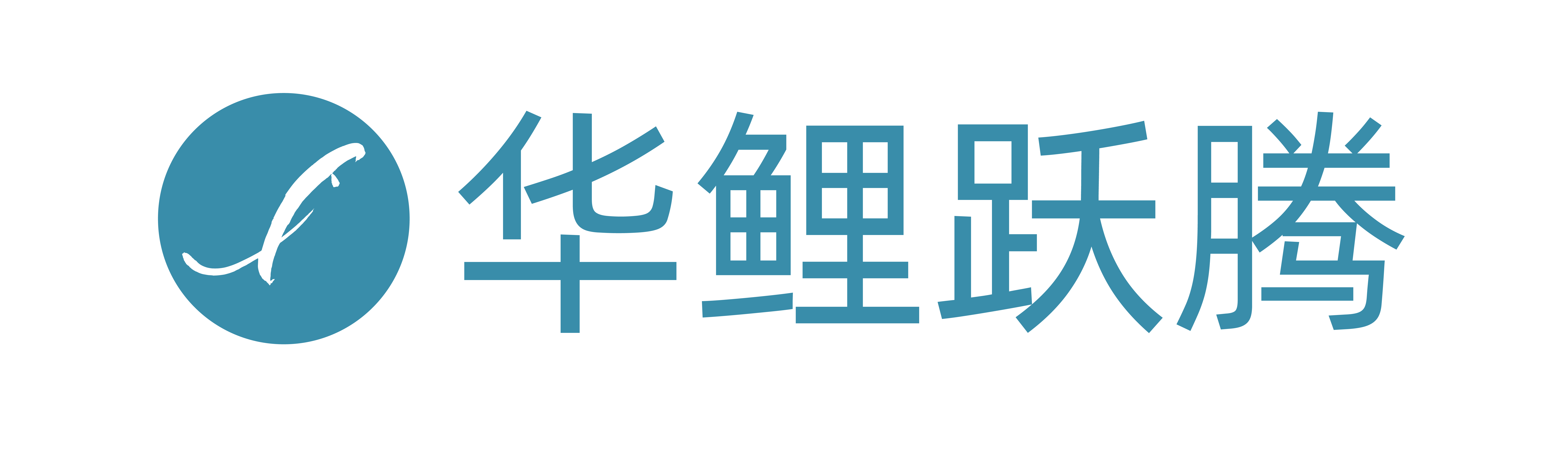 哈尔滨华鲤跃腾科技有限公司