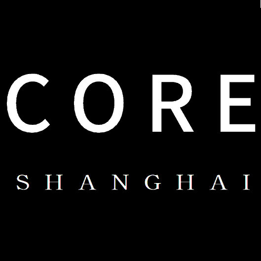 上海核心信息技术有限公司