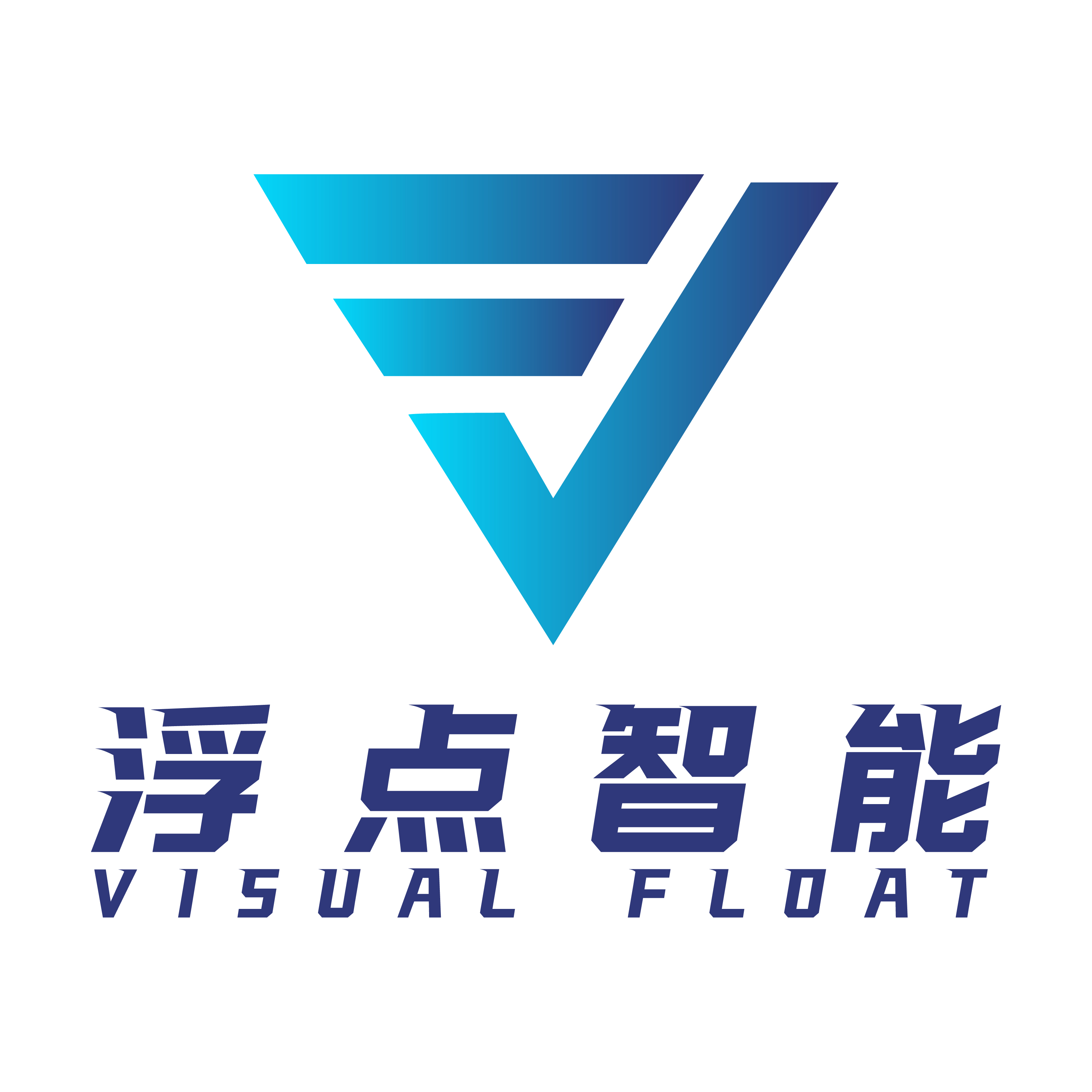 天津市浮点智能科技有限公司