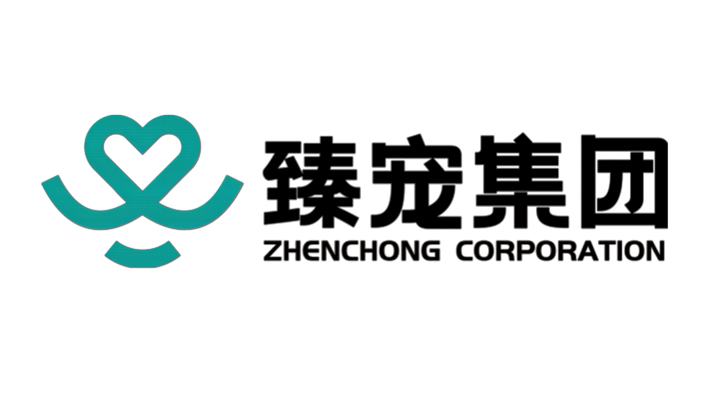 山東臻琪投資控股有限公司