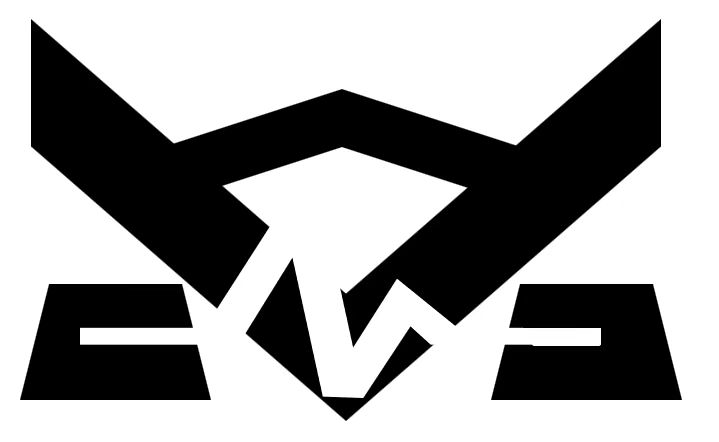 武汉麦克斯光电有限公司