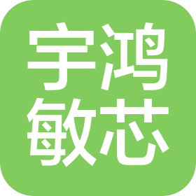 宇鴻敏芯(山東)電子科技有限公司
