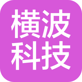 武漢橫波科技有限公司