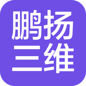 深圳市鵬揚(yáng)三維科技有限公司