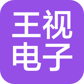 廣州王視電子有限公司