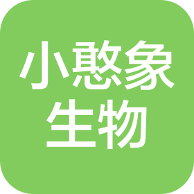 廣州市小憨象生物科技有限公司