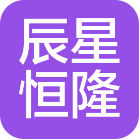 廣東辰星恒隆安全技術有限公司
