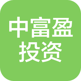 深圳市中富盈投資有限公司