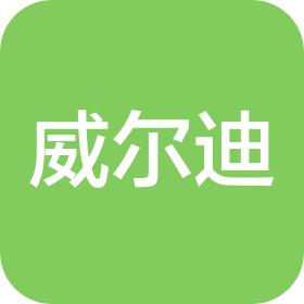 深圳市威爾迪電子科技有限公司
