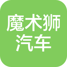 合肥魔術(shù)獅汽車(chē)技術(shù)服務(wù)有限公司
