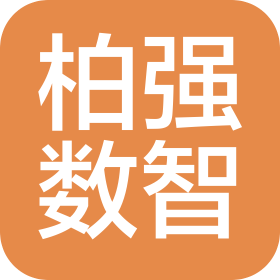 廣西柏強數智科技控股有限公司