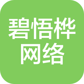 武漢市碧悟樺網(wǎng)絡(luò)科技有限公司