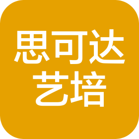 四川天府新区思可达艺术培训学校有限公司