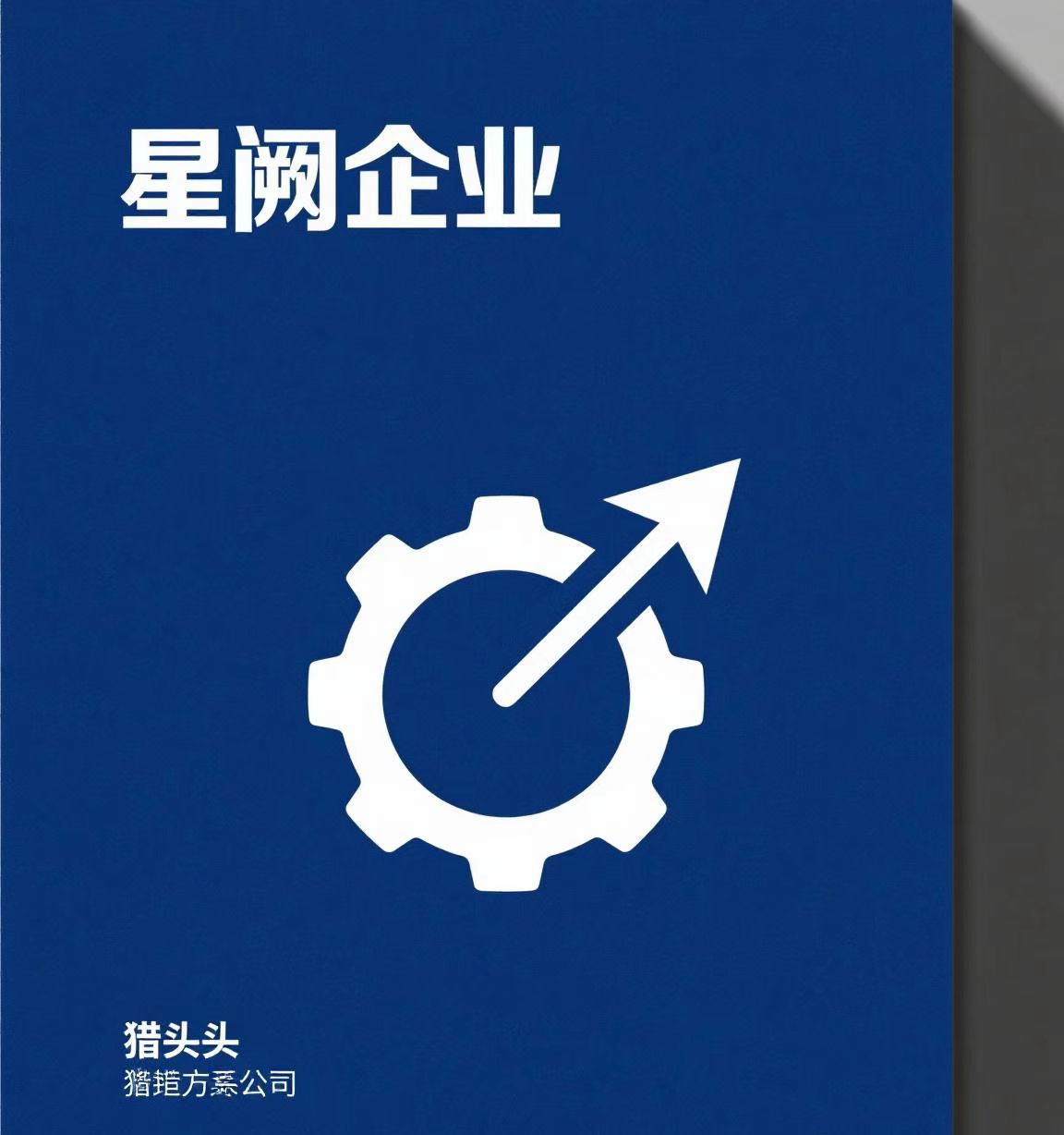 廣西星闕企業(yè)服務(wù)有限公司
