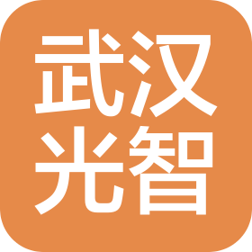 武漢光智通信技術(shù)有限公司