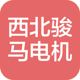 宁夏西北骏马电机制造股份有限公司
