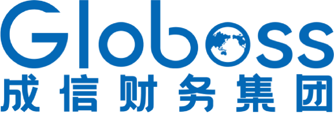 上海成信財(cái)務(wù)咨詢集團(tuán)有限公司