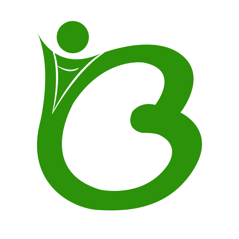 武汉柏安医疗器械有限公司