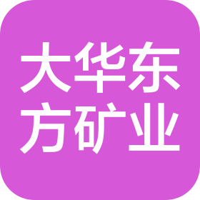 安徽大华东方矿业有限公司
