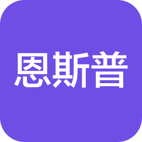 深圳市恩斯普电子有限公司