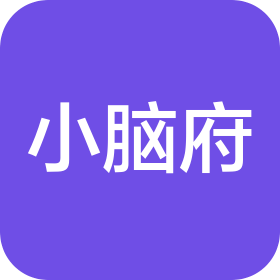 成都小腦府視覺科技有限公司