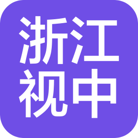 浙江视中消防工程有限公司