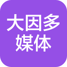 上海大因多媒體技術(shù)有限公司