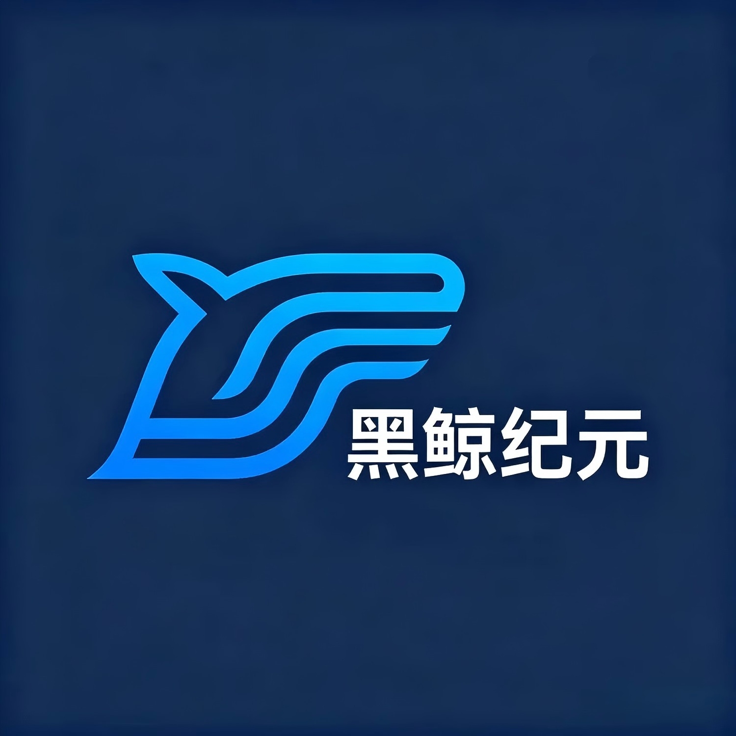 深圳黑鲸纪元科技有限公司