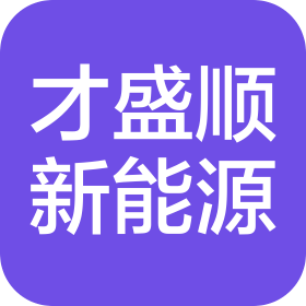 徐州才盛顺新能源汽车有限公司
