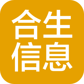 广东合生信息科技有限公司