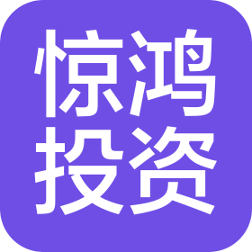 广西惊鸿投资咨询有限公司