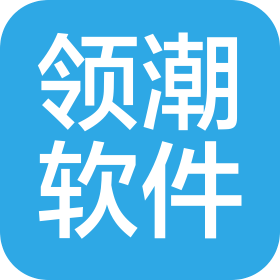 山東領(lǐng)潮軟件科技有限公司