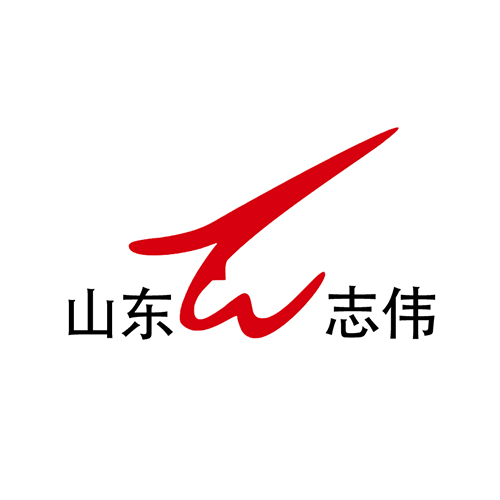 山東志偉華龍半導體有限公司