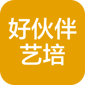 温州好伙伴艺术培训有限公司