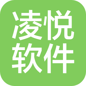 天津凌悦软件有限公司